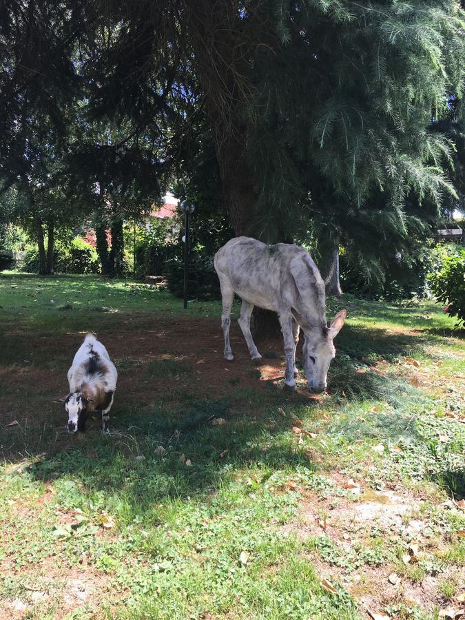 Il Trattore Moncalieri Exterior foto